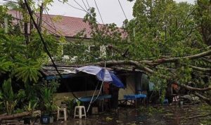 Dampak Cuaca Ekstrem di Kabupaten Pasuruan