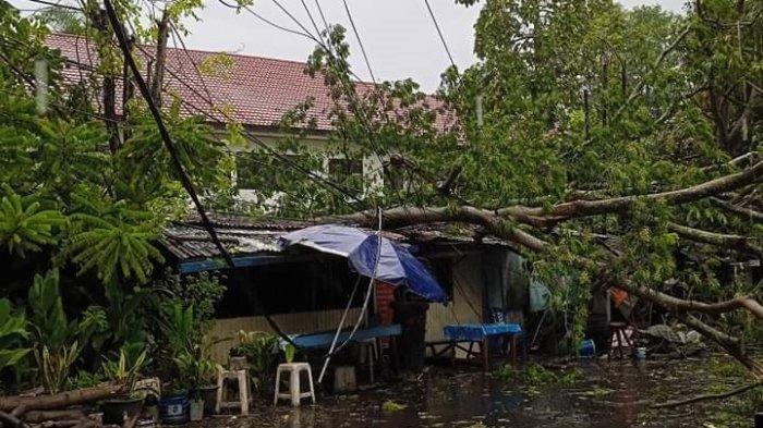Dampak Cuaca Ekstrem di Kabupaten Pasuruan